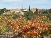Autignac and Autumn Vines