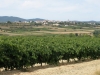 Autignac across the Vineyards