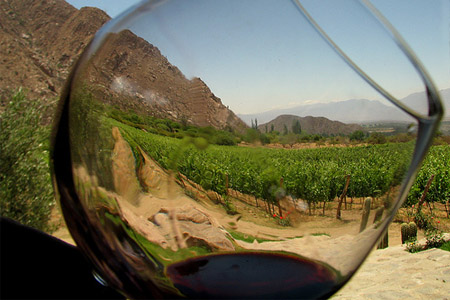 Rioja_Vino