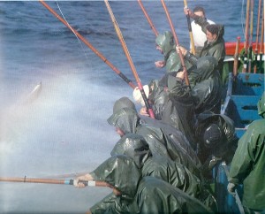Pesca-Tradicional-del-Bontio-1