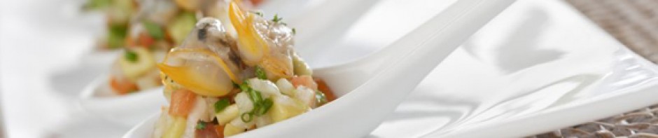 cropped-tapa_berberecho_serrats_2.jpg